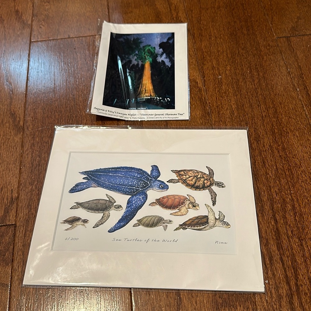 Nina Gentile Matted Giclee SEA TURTLES OF THE WORLD 8x10 and Gen Sherman photo